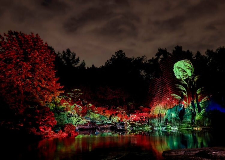 jardins-lumieres-jardin-botanique-montreal-2025.jpeg - Quebecoscope - L'Actualité Montréalaise
