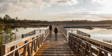 Une passerelle de 500 m au Bois-de-l’Île-Bizard : une immersion dans les couleurs d’automne