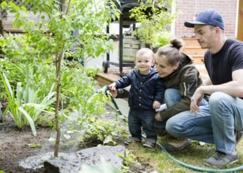 Un arbre pour mon quartier débarque à Montréal-Est