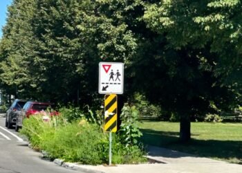 LaSalle réinvente ses rues 🌿 Huit intersections deviennent des infrastructures vertes et drainantes ! #Montréal #Écologie