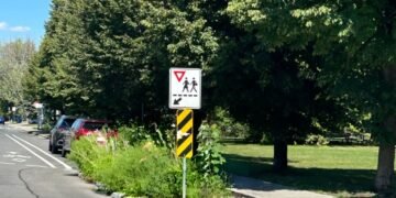 LaSalle réinvente ses rues 🌿 Huit intersections deviennent des infrastructures vertes et drainantes ! #Montréal #Écologie