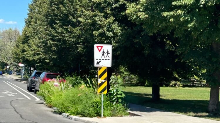 lasalle-transforme-8-intersections-en-infrastructures-vertes-et-drainantes - Quebecoscope - L'Actualité Montréalaise LaSalle réinvente ses rues 🌿 Huit intersections deviennent des infrastructures vertes et drainantes ! #Montréal #Écologie