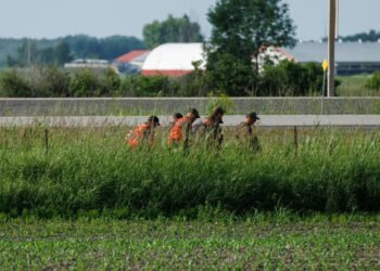 LaSalle : une mère déclarée non responsable criminellement pour l’abandon de sa fille
