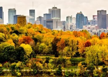 Et si les fuites d'eau à Montréal profitaient aux arbres ? Une étude de l'UQAM lève le voile sur un avantage inattendu des canalisations défectueuses pour la résilience des arbres urbains.