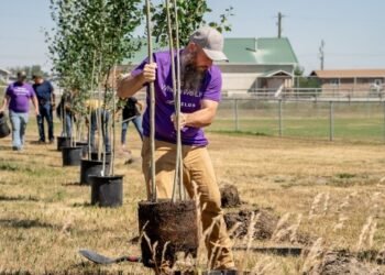 🌱 TELUS atteint 25 millions d’arbres plantés au Canada, un jalon qui équivaut à retirer 1,8 M de voitures des routes. #Environnement #Durabilité