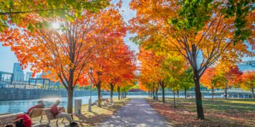 🍁🎡 Cet automne, le Vieux-Port de Montréal se transforme : manèges, Halloween revisité et délices gourmands au rendez-vous ! 👇 #VieuxPort #Montréal #Automne2025 #Halloween #SortiesMTL