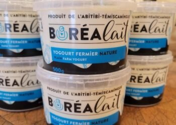 🥛 Le yogourt Boréalait, produit en Abitibi avec des ingrédients 100 % locaux, sera enfin distribué à Montréal via le Groupe Epicia. #Montréal #ProduitsLocaux #Boréalait