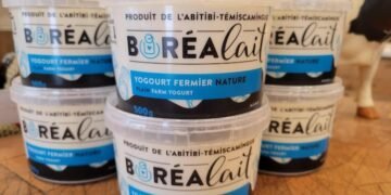 🥛 Le yogourt Boréalait, produit en Abitibi avec des ingrédients 100 % locaux, sera enfin distribué à Montréal via le Groupe Epicia. #Montréal #ProduitsLocaux #Boréalait
