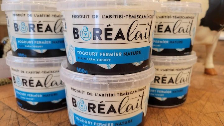 Le yogourt de Boréalait produit en Abitibi arrive enfin sur les tablettes montréalaises - Quebecoscope - L'Actualité Montréalaise 🥛 Le yogourt Boréalait, produit en Abitibi avec des ingrédients 100 % locaux, sera enfin distribué à Montréal via le Groupe Epicia. #Montréal #ProduitsLocaux #Boréalait