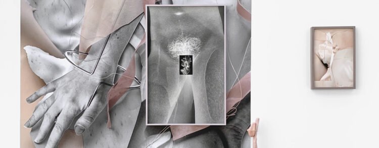 MOMENTA Biennale plus de 430 000 $ investis par Québec pour soutenir lart contemporain à Montréal - Quebecoscope - L'Actualité Montréalaise Québec investit 437 550 $ pour soutenir MOMENTA Biennale d’art contemporain à Montréal 🎨✨ Un rendez-vous culturel qui rayonne ici et ailleurs! #Montréal #Culture