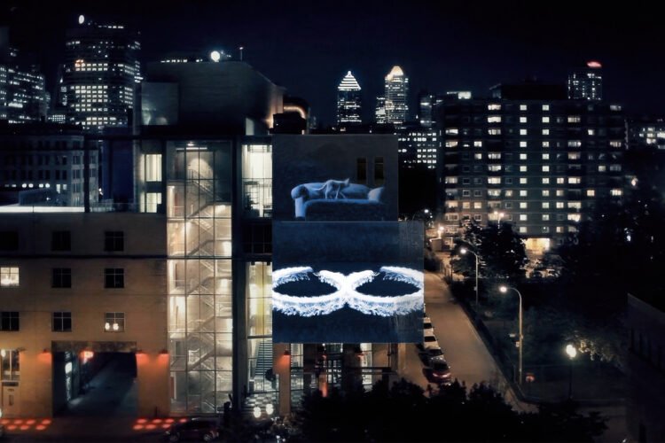 Stéphane Pallage signe une lettre damour à Montréal dans une campagne culturelle québécoise - Quebecoscope - L'Actualité Montréalaise 💌 Le recteur Stéphane Pallage signe une déclaration poétique à Montréal dans la campagne « Lettres d’amour à ma ville culturelle ». #Montréal #Culture #Québec