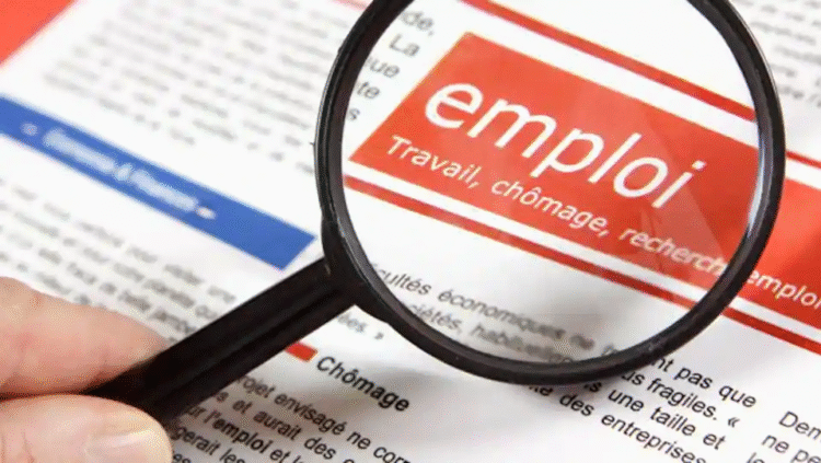 Chômage à Montréal et Gatineau : les deux métropoles restent exclues du PTET en 2025