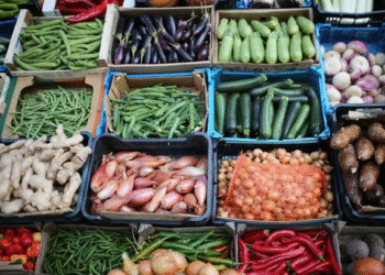 Élections municipales : miser sur la sécurité alimentaire pour bâtir le Montréal de demain