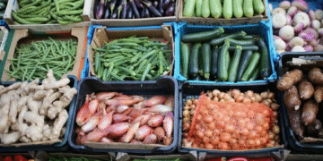 Élections municipales : miser sur la sécurité alimentaire pour bâtir le Montréal de demain