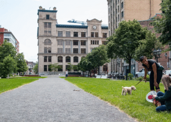 Ensemble Montréal soutient fermement l’agrandissement du musée Pointe-à-Callière : un projet phare pour le patrimoine du Vieux-Montréal