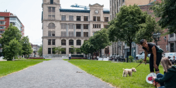 Ensemble Montréal soutient fermement l’agrandissement du musée Pointe-à-Callière : un projet phare pour le patrimoine du Vieux-Montréal