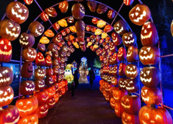 Festilumi à Montréal : Plus de 30 000 billets vendus pour l&rsquo;expérience lumineuse incontournable