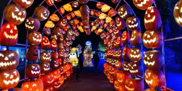 Festilumi à Montréal : Plus de 30 000 billets vendus pour l’expérience lumineuse incontournable