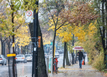 Froid automnal à Montréal : Les températures chutent, un week-end ensoleillé mais frais en perspective